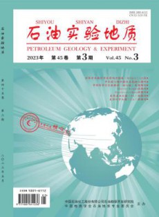 石油实验地质